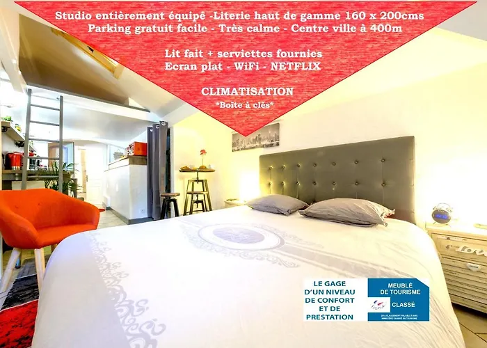 Studio, Lit Queen Size, NETFLIX et WIFI, parking, HYPERCENTRE a 400m, lave vaisselle, arrivee tardive possible avec boite a cles